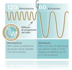 fasi suzione fisiologica symphony medela